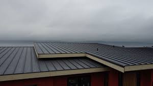 Best Roof Maintenance and Cleaning  in Gberts, IL